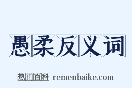 愚柔反义词是什么意思的图片